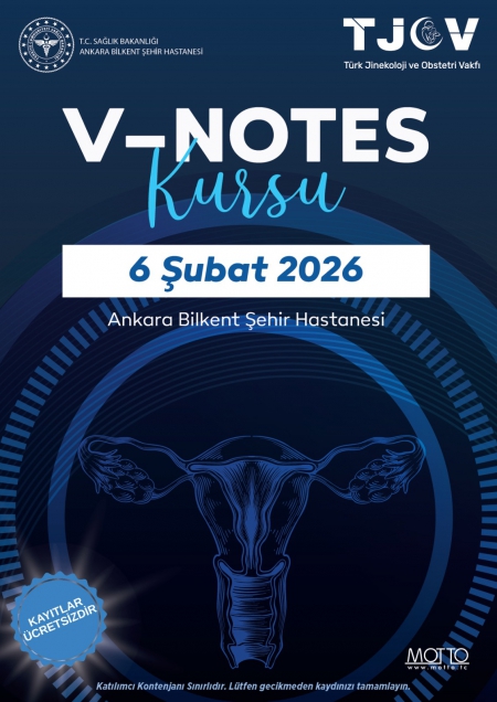  V-notes Kursu