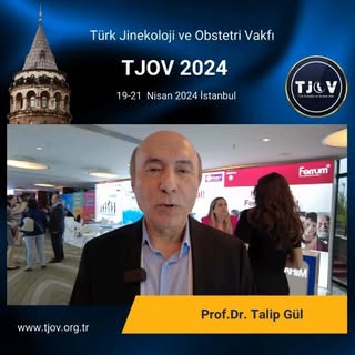 Prof. Dr. Talip Gül