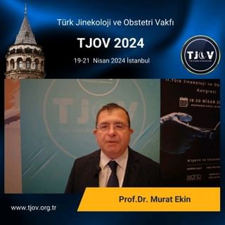 Prof. Dr. Murat Ekin